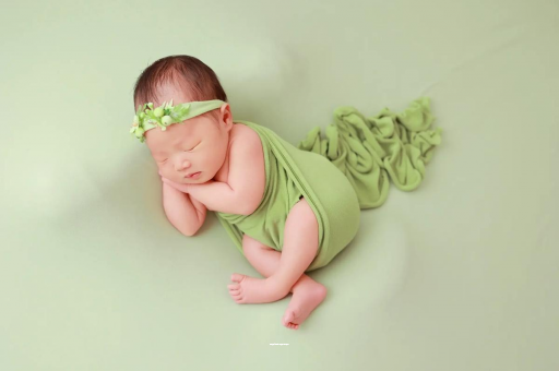 贵州陕西助孕公司名单揭晓助孕行业新动向